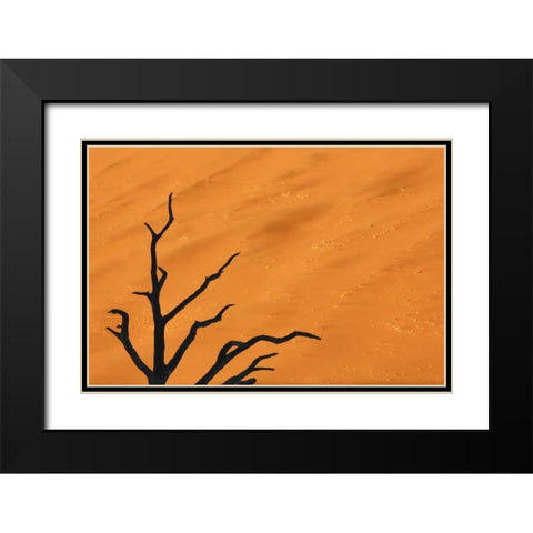 Namibia, Dead Vlei Tree branches and sand dune Black Modern Wood Framed Art Print with Double Matting by Kaveney, Wendy