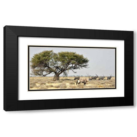 Africa, Namibia, Etosha NP Five Oryx and tree Black Modern Wood Framed Art Print with Double Matting by Kaveney, Wendy