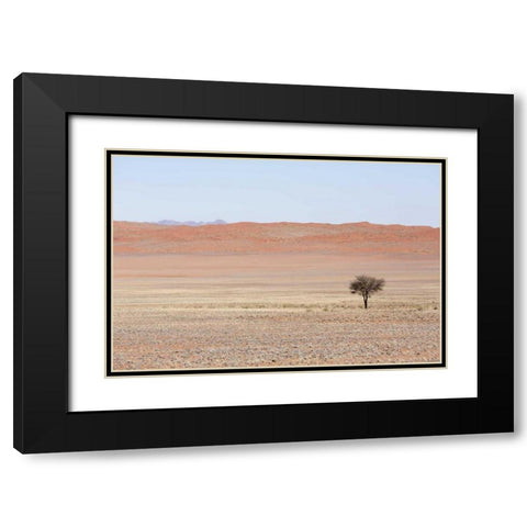Namibia, Namib Desert Lone tree in orange desert Black Modern Wood Framed Art Print with Double Matting by Kaveney, Wendy