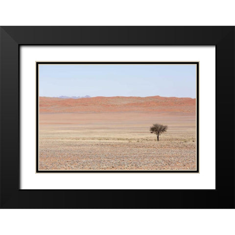 Namibia, Namib Desert Lone tree in orange desert Black Modern Wood Framed Art Print with Double Matting by Kaveney, Wendy