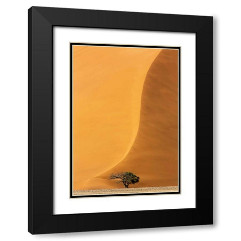 Namibia, Namib-Naukluft Park Sand dune and tree Black Modern Wood Framed Art Print with Double Matting by Kaveney, Wendy