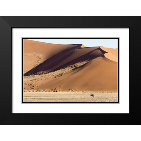 Namibia, Namib-Naukluft Park Sand dunes and Oryx Black Modern Wood Framed Art Print with Double Matting by Kaveney, Wendy