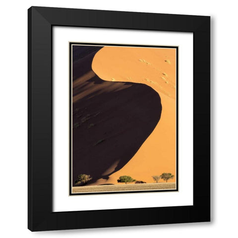 Namibia, Namib-Naukluft Park Sand dune and trees Black Modern Wood Framed Art Print with Double Matting by Kaveney, Wendy