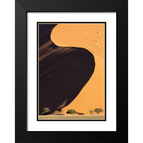 Namibia, Namib-Naukluft Park Sand dune and trees Black Modern Wood Framed Art Print with Double Matting by Kaveney, Wendy