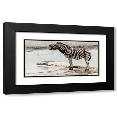 Africa, Namibia, Etosha NP Braying zebra Black Modern Wood Framed Art Print with Double Matting by Kaveney, Wendy