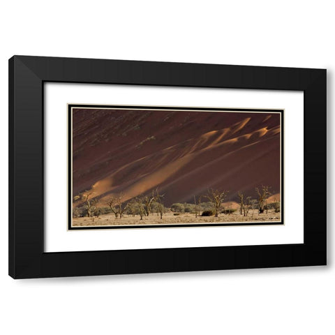 Namibia, Namib-Naukluft Dunes and skeleton trees Black Modern Wood Framed Art Print with Double Matting by Kaveney, Wendy