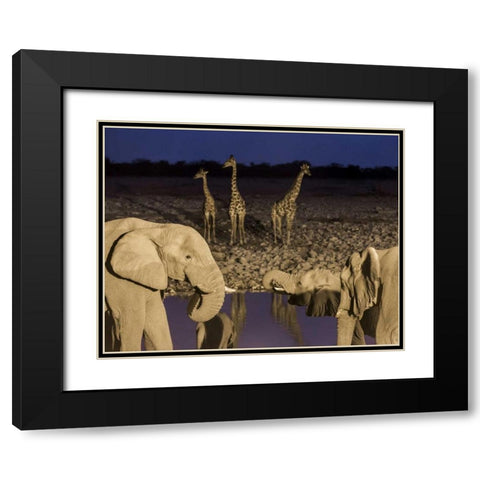 Namibia, Etosha NP Elephants and giraffes Black Modern Wood Framed Art Print with Double Matting by Kaveney, Wendy