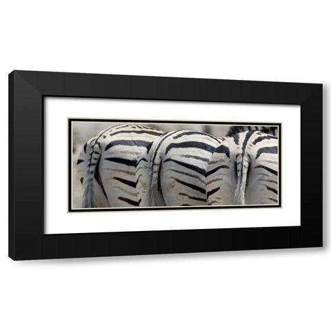 Namibia, Etosha NP, Reitfontain Zebra tails Black Modern Wood Framed Art Print with Double Matting by Kaveney, Wendy