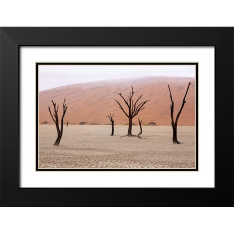 Namibia, Namib-Naukluft, Deadvlei Misty Morning Black Modern Wood Framed Art Print with Double Matting by Kaveney, Wendy