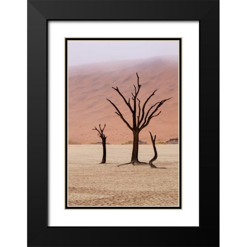 Namibia, Namib-Naukluft, Deadvlei Misty Morning Black Modern Wood Framed Art Print with Double Matting by Kaveney, Wendy