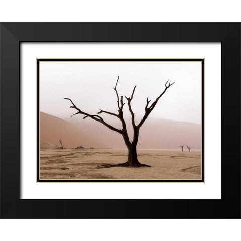 Namibia, Namib-Naukluft, Deadvlei Misty Morning Black Modern Wood Framed Art Print with Double Matting by Kaveney, Wendy