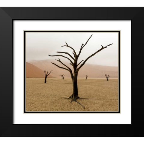 Namibia, Deadvlei Unusual rainy weather Black Modern Wood Framed Art Print with Double Matting by Kaveney, Wendy