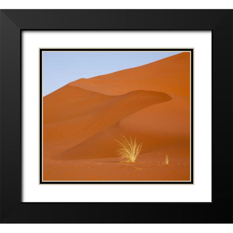 Namibia, Namib-Naukluft Park Grass and sand dune Black Modern Wood Framed Art Print with Double Matting by Kaveney, Wendy