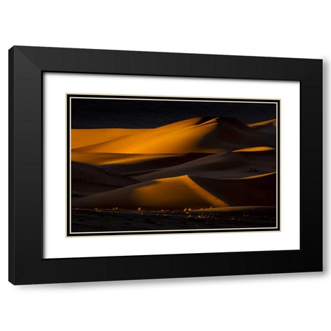 Namibia, Namib-Naukluft NP Abstract of sand dune Black Modern Wood Framed Art Print with Double Matting by Young, Bill