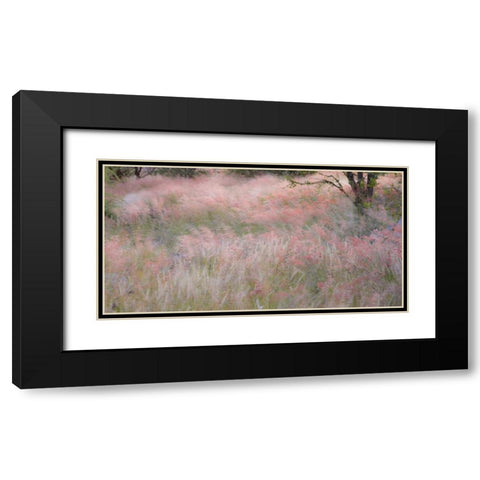 Namibia, Etosha NP Grasses moving in the wind Black Modern Wood Framed Art Print with Double Matting by Young, Bill