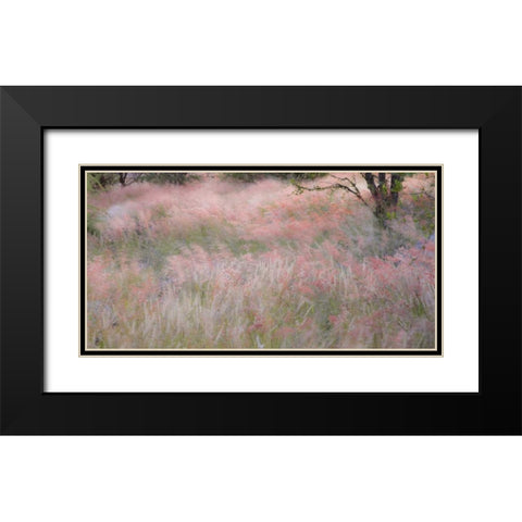 Namibia, Etosha NP Grasses moving in the wind Black Modern Wood Framed Art Print with Double Matting by Young, Bill