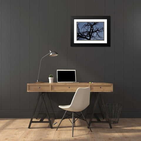 Africa, Namibia Tree silhouette and full moon Black Modern Wood Framed Art Print with Double Matting by Young, Bill