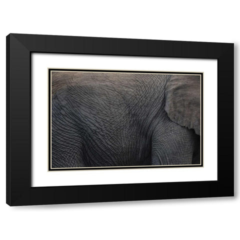 Namibia, Etosha NP Textured hide of elephant Black Modern Wood Framed Art Print with Double Matting by Young, Bill