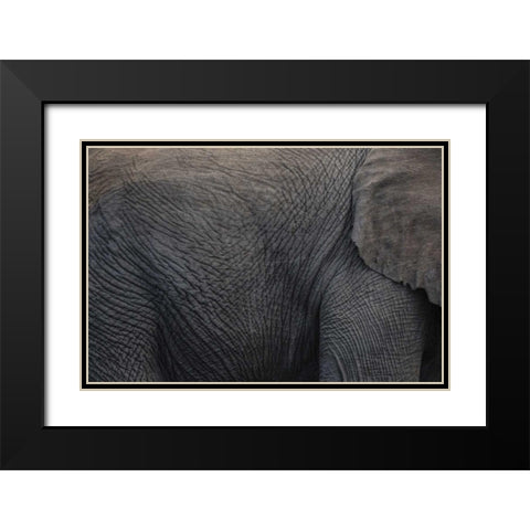 Namibia, Etosha NP Textured hide of elephant Black Modern Wood Framed Art Print with Double Matting by Young, Bill