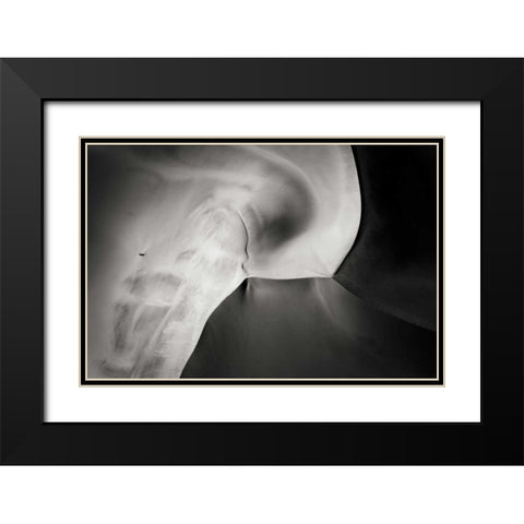 Namibia, Namib-Naukluft NP Aerial of sand dunes Black Modern Wood Framed Art Print with Double Matting by Young, Bill
