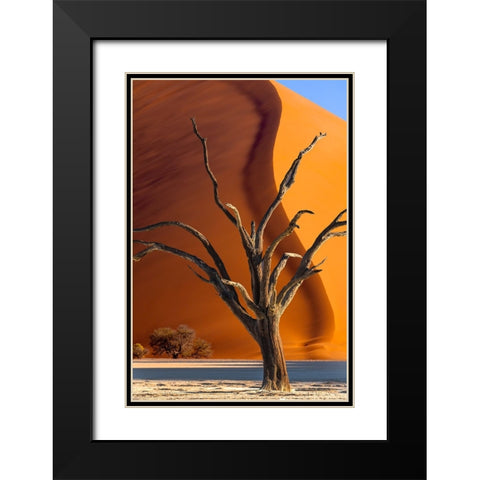 Namibia-Sossusvlei-Namib-Naukluft National Park-Composite of dead tree and sand dune Black Modern Wood Framed Art Print with Double Matting by Jaynes Gallery