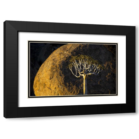 South Richtersveld NP Quiver tree and boulder Black Modern Wood Framed Art Print with Double Matting by Young, Bill
