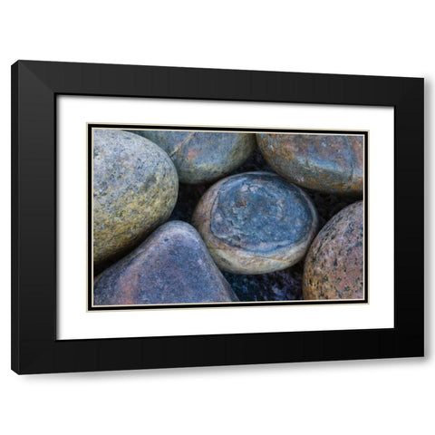 South Buckballbaai Cluster of rounded rocks Black Modern Wood Framed Art Print with Double Matting by Young, Bill