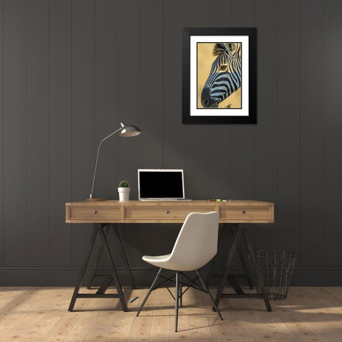 Africa, South Africa Profile of zebra Black Modern Wood Framed Art Print with Double Matting by Lord, Fred