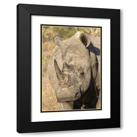 Hawaii Waves breaking on a black sand beach Black Modern Wood Framed Art Print with Double Matting by Zuckerman, Jim