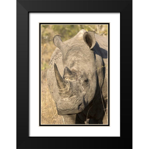 Hawaii Waves breaking on a black sand beach Black Modern Wood Framed Art Print with Double Matting by Zuckerman, Jim
