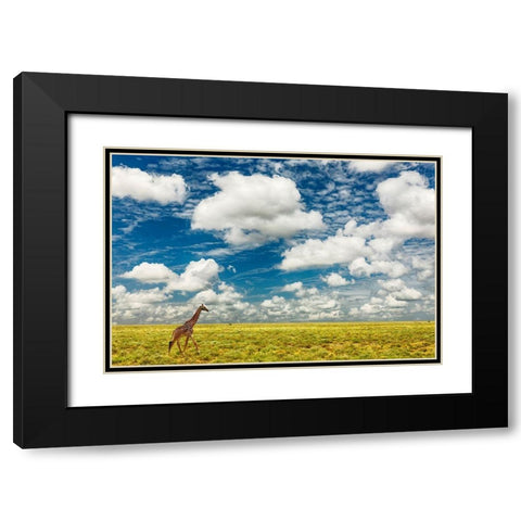 Masai Giraffe on open plains of Serengeti National Park-Tanzania-Africa-Giraffa Black Modern Wood Framed Art Print with Double Matting by Jones, Adam