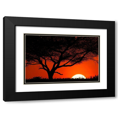 Tree silhouetted at sunset on the vast plains of Serengeti National Park-Tanzania-Africa Black Modern Wood Framed Art Print with Double Matting by Jones, Adam