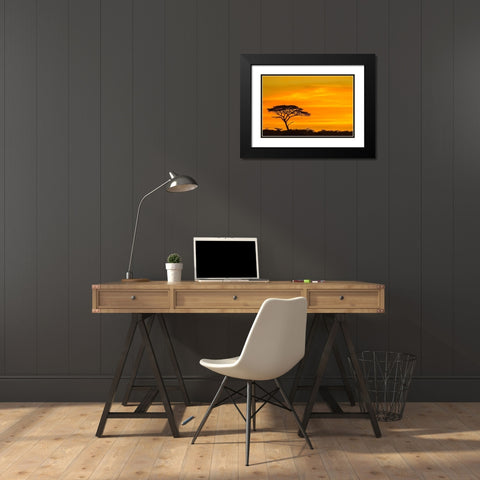 Africa-Tanzania-Serengeti National Park Acacia tree silhouette at sunset  Black Modern Wood Framed Art Print with Double Matting by Jaynes Gallery