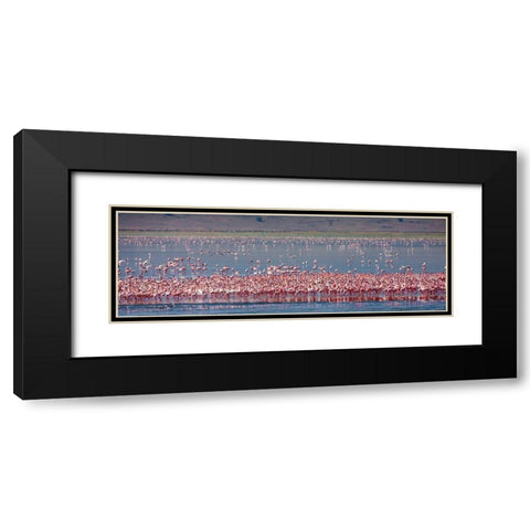 Lesser flamingos rest and feed in Lake Magadi inside Ngorongoro Crater-Tanzania Black Modern Wood Framed Art Print with Double Matting by Richardson, Larry