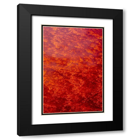 Africa-Tanzania-Aerial view of patterns of red algae and salt formations in shallow salt waters Black Modern Wood Framed Art Print with Double Matting by Souders, Paul