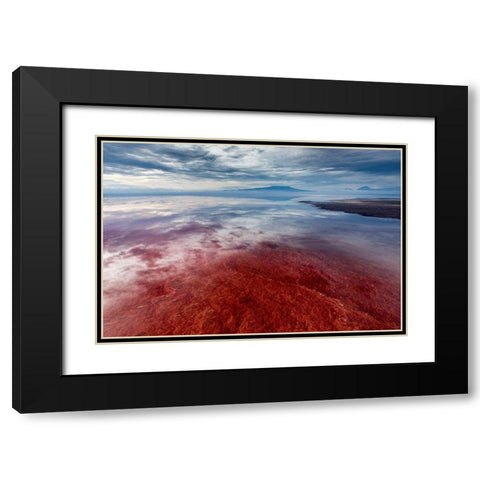 Africa-Tanzania-Enhanced contrast aerial view of patterns of red algae and salt formations Black Modern Wood Framed Art Print with Double Matting by Souders, Paul