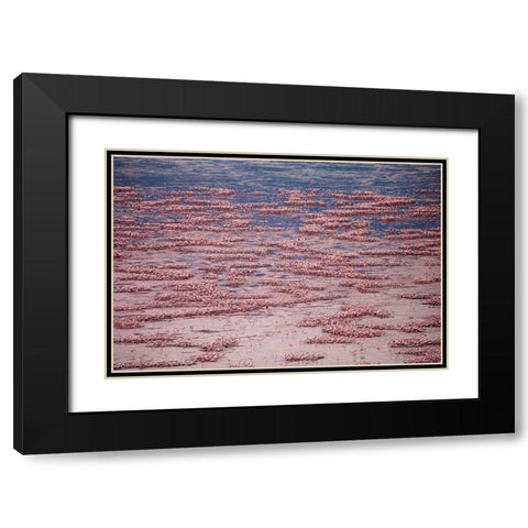Africa-Tanzania-Aerial view of vast flock of Lesser Flamingos nesting in shallow salt waters Black Modern Wood Framed Art Print with Double Matting by Souders, Paul