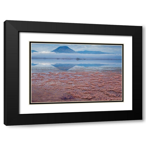 Africa-Tanzania-Aerial view of Ol Doinyo Lengai volcano looming above vast flock Black Modern Wood Framed Art Print with Double Matting by Souders, Paul