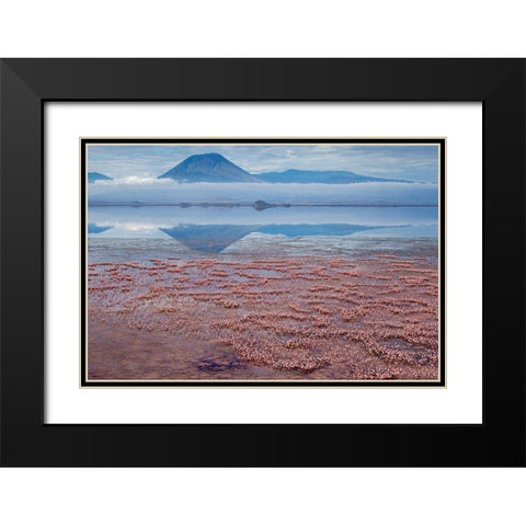 Africa-Tanzania-Aerial view of Ol Doinyo Lengai volcano looming above vast flock Black Modern Wood Framed Art Print with Double Matting by Souders, Paul