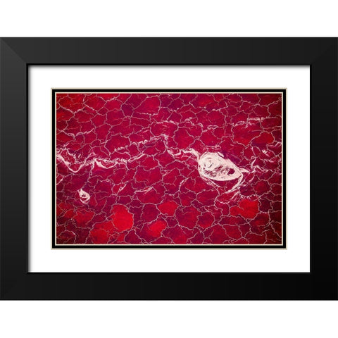 Africa-Tanzania-Aerial view of patterns of red algae and salt formations in shallow salt waters Black Modern Wood Framed Art Print with Double Matting by Souders, Paul