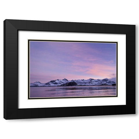 South Georgia Island, Leith Harbor Pink Sunrise Black Modern Wood Framed Art Print with Double Matting by Paulson, Don