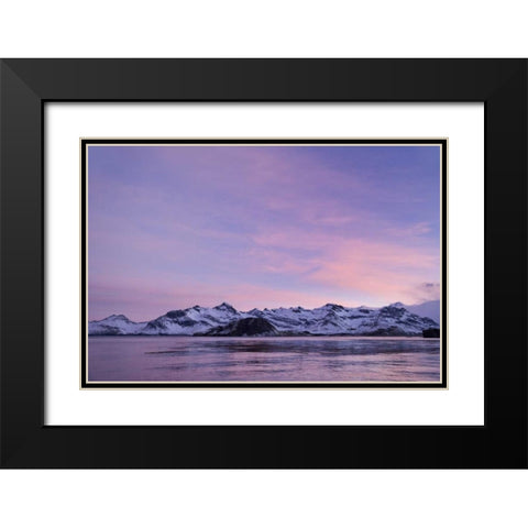 South Georgia Island, Leith Harbor Pink Sunrise Black Modern Wood Framed Art Print with Double Matting by Paulson, Don