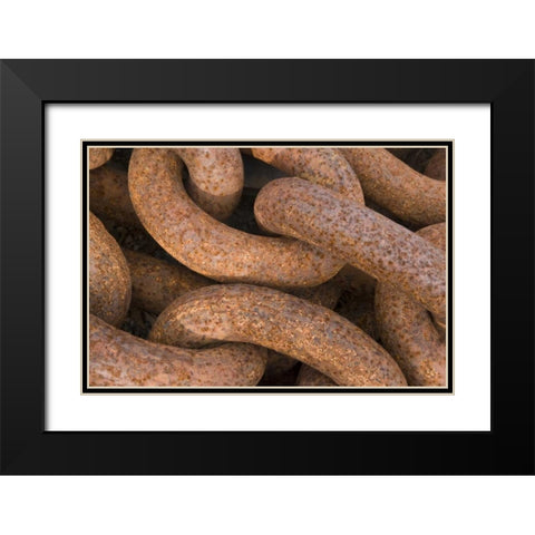 South Georgia Island, Grytviken Rusty chain Black Modern Wood Framed Art Print with Double Matting by Paulson, Don