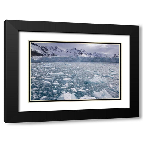 South Georgia Island, Iris Bay Herz Glacier Black Modern Wood Framed Art Print with Double Matting by Paulson, Don
