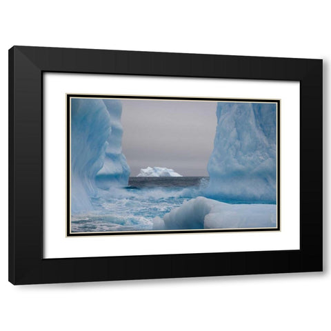 South Georgia Island Blue-tinged icebergs Black Modern Wood Framed Art Print with Double Matting by Paulson, Don