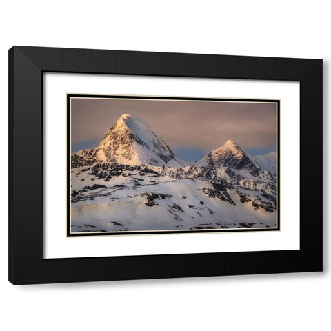 Antarctica-South Georgia Island-St Andrews Bay Spring sunrise on mountain  Black Modern Wood Framed Art Print with Double Matting by Jaynes Gallery