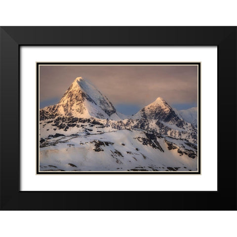 Antarctica-South Georgia Island-St Andrews Bay Spring sunrise on mountain  Black Modern Wood Framed Art Print with Double Matting by Jaynes Gallery