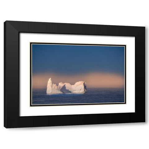 Antarctica-South Georgia Island Lone iceberg and sunset  Black Modern Wood Framed Art Print with Double Matting by Jaynes Gallery