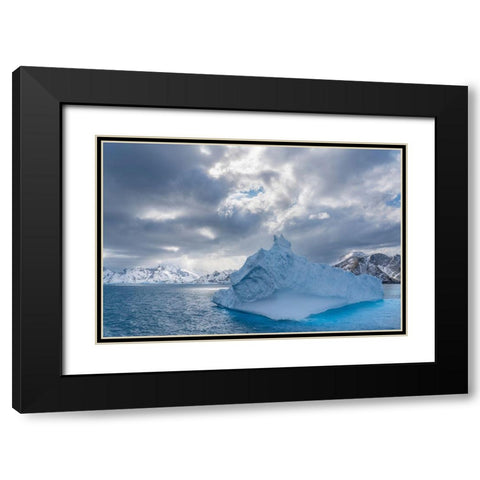 Antarctica-South Georgia Island Landscape with iceberg and mountains  Black Modern Wood Framed Art Print with Double Matting by Jaynes Gallery