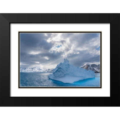 Antarctica-South Georgia Island Landscape with iceberg and mountains  Black Modern Wood Framed Art Print with Double Matting by Jaynes Gallery